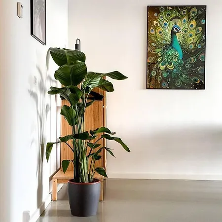 Chic Atelier With Breathtaking Waterfront Apartamento